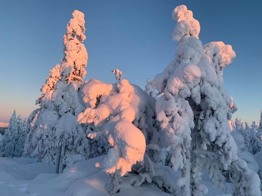 Apartment Stella Lapponia Two Floors 200 Sqm Rovaniemi